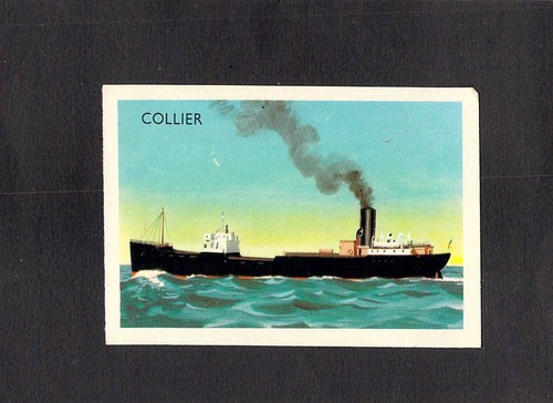 Y6289 shell project card - project,