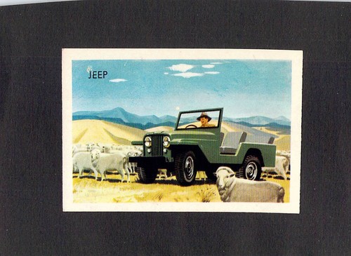 Y5873 shell project - project, card