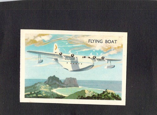 Y6169 shell project card - y6169,