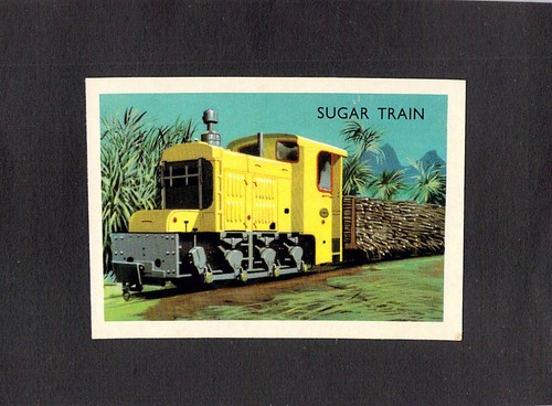 Y7675 shell project card - shell,